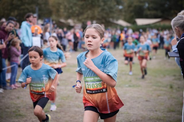 Festival des Templiers 2026
