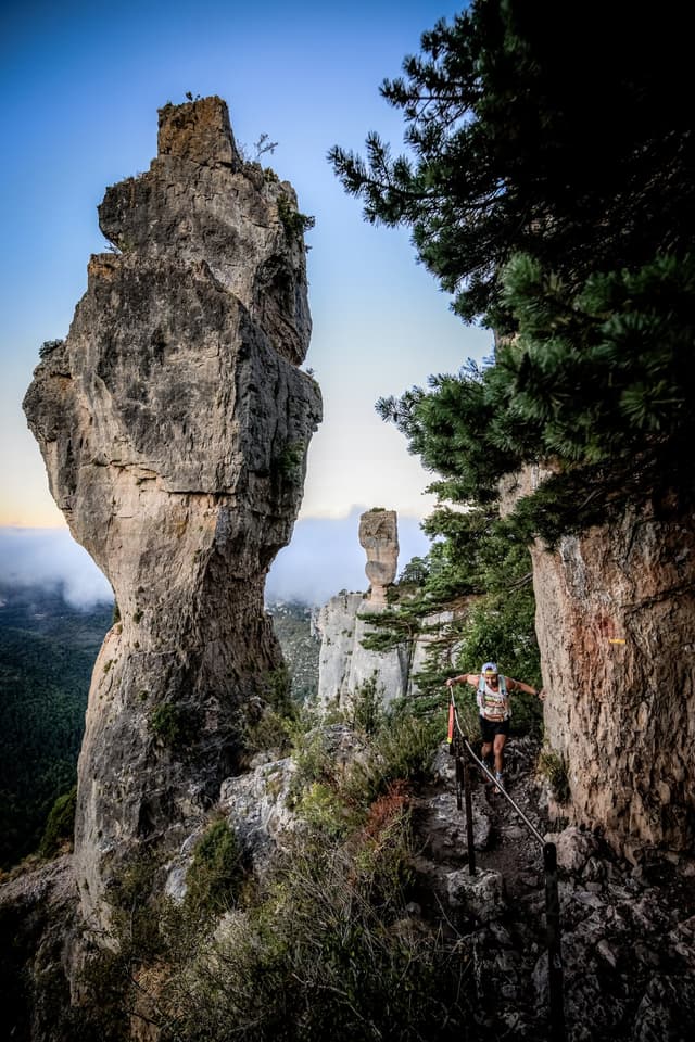 Festival des Templiers 2026