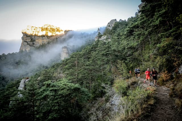 Festival des Templiers 2026