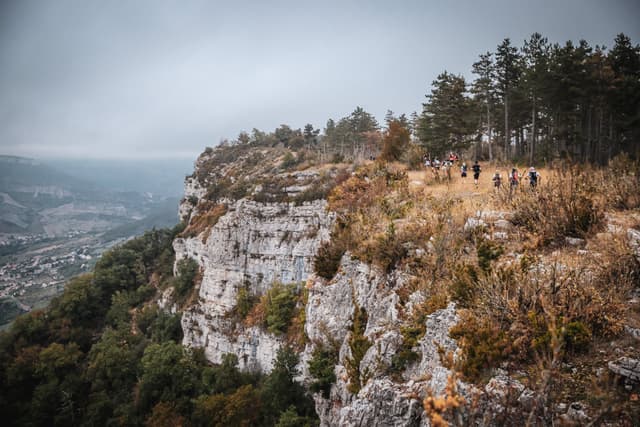Festival des Templiers 2026