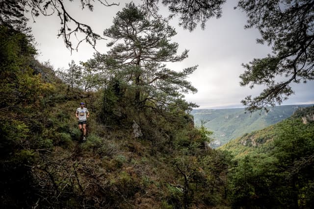 Festival des Templiers 2026