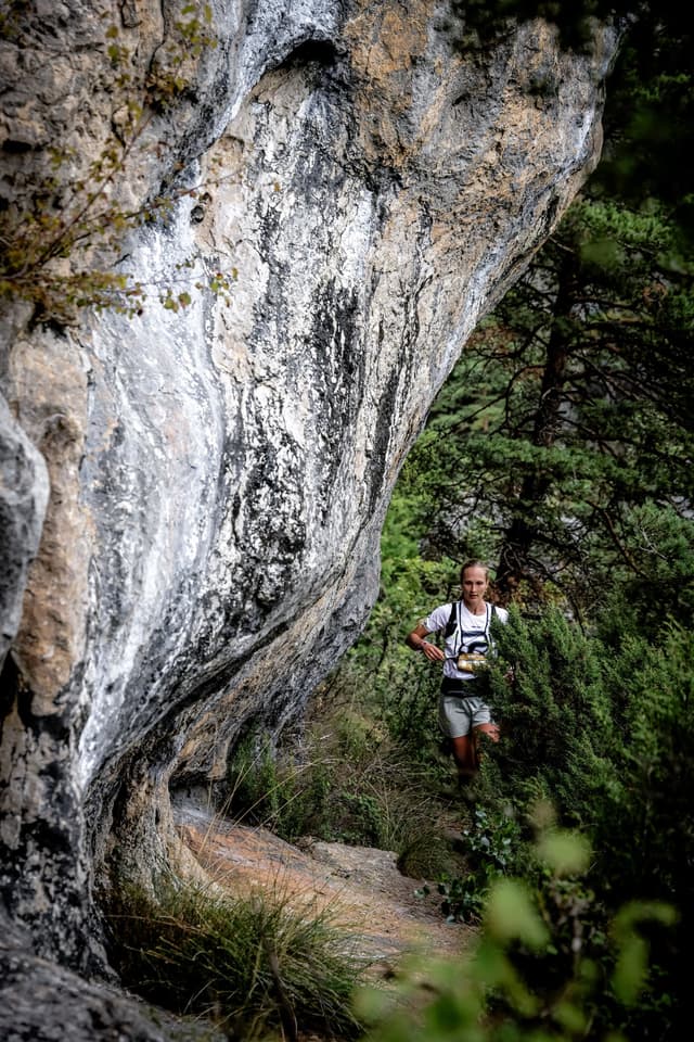 Festival des Templiers 2026