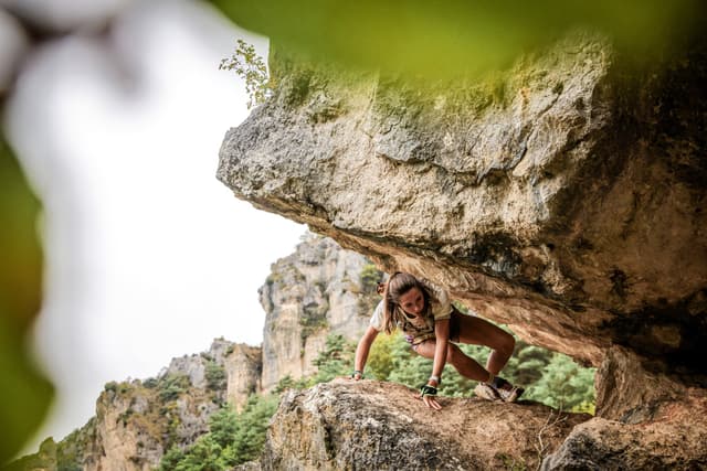 Festival des Templiers 2026