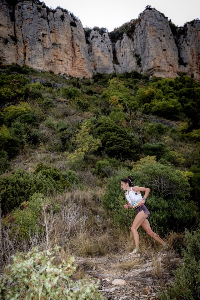 Festival des Templiers 2026