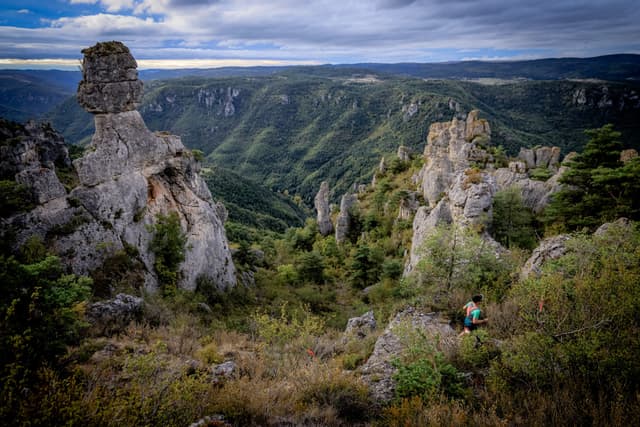 Festival des Templiers 2026