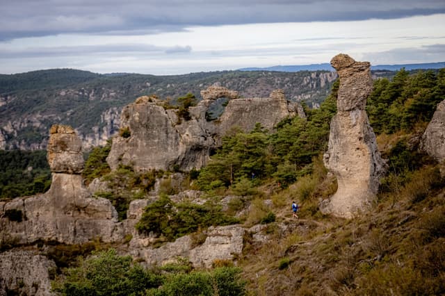 Festival des Templiers 2026