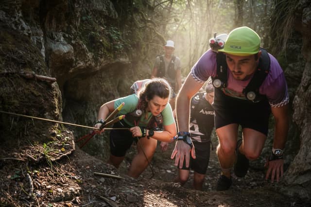 Festival des Templiers 2026