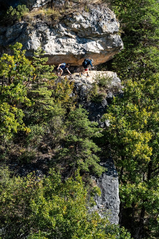 Festival des Templiers 2026