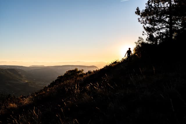 Festival des Templiers 2026