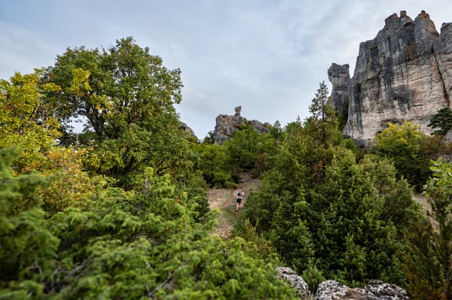 Festival des Templiers 2026