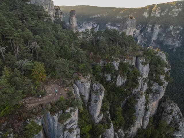 Festival des Templiers 2026