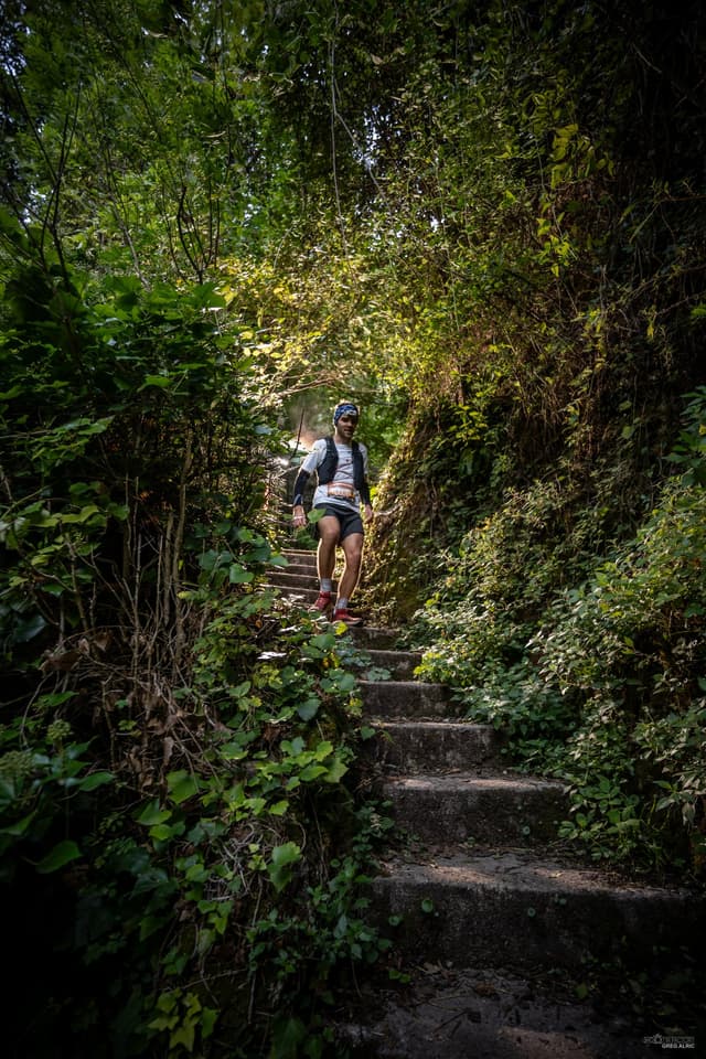 Festival des Templiers 2026