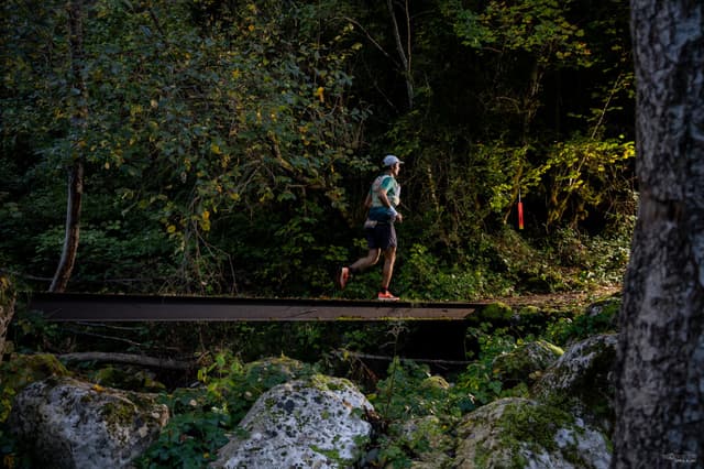 Festival des Templiers 2026