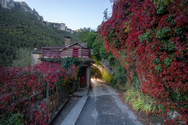 Festival des Templiers 2026