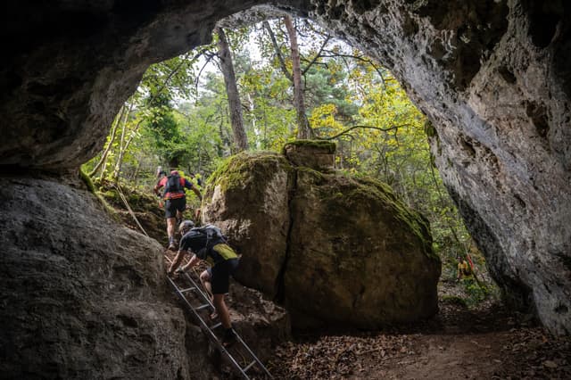 Festival des Templiers 2026
