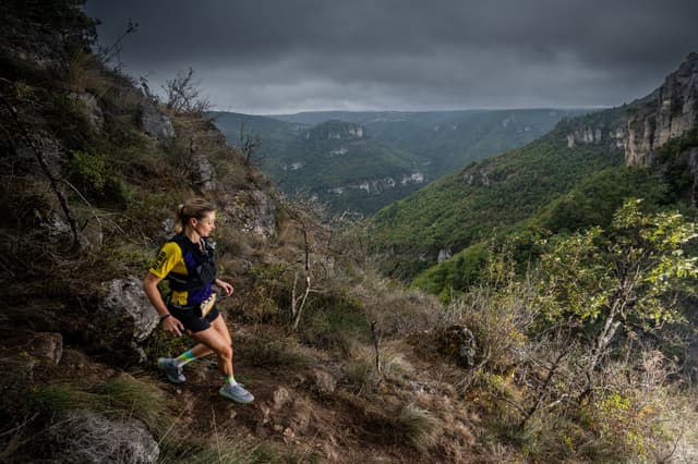 Festival des Templiers 2026