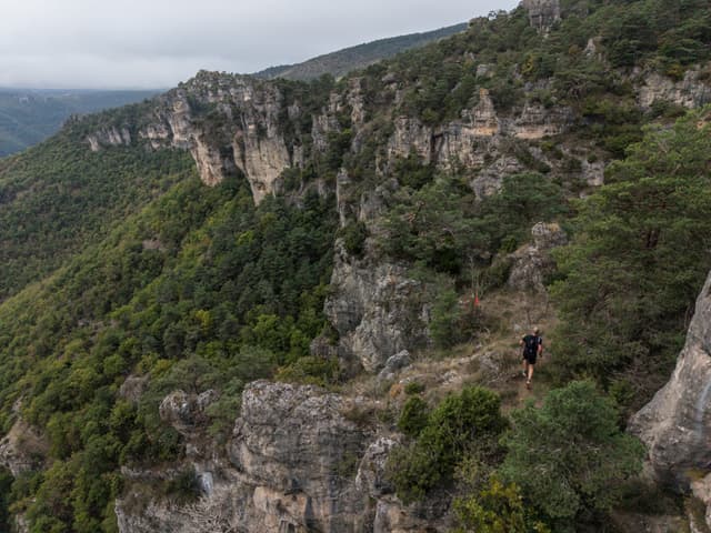 Festival des Templiers 2026