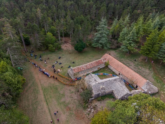 Festival des Templiers 2026