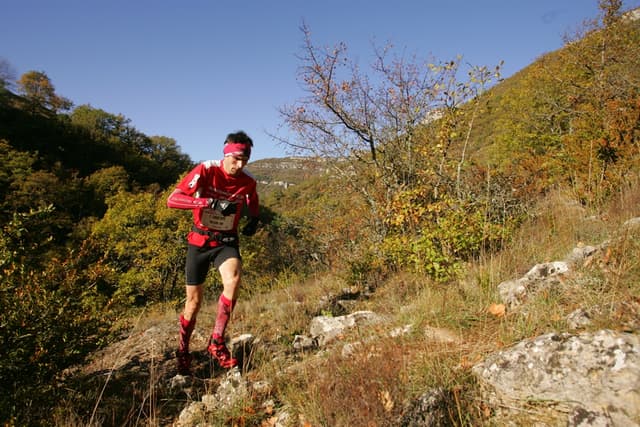 Festival des Templiers 2008