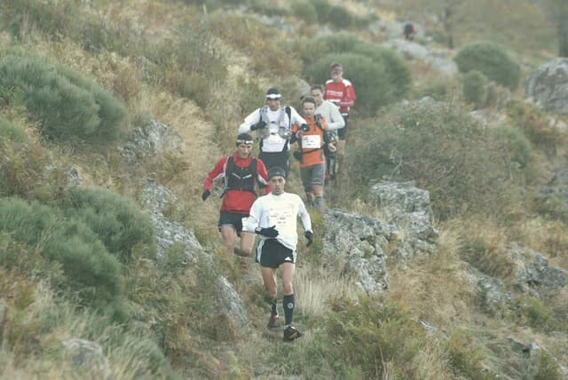 Festival des Templiers 2008