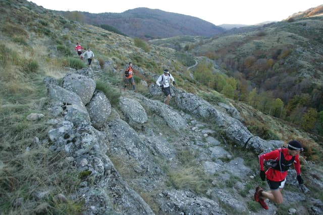 Festival des Templiers 2008