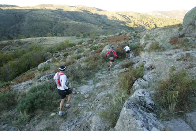 Festival des Templiers 2008