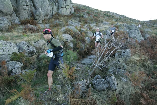 Festival des Templiers 2008