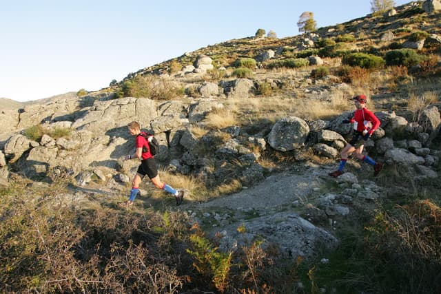 Festival des Templiers 2008