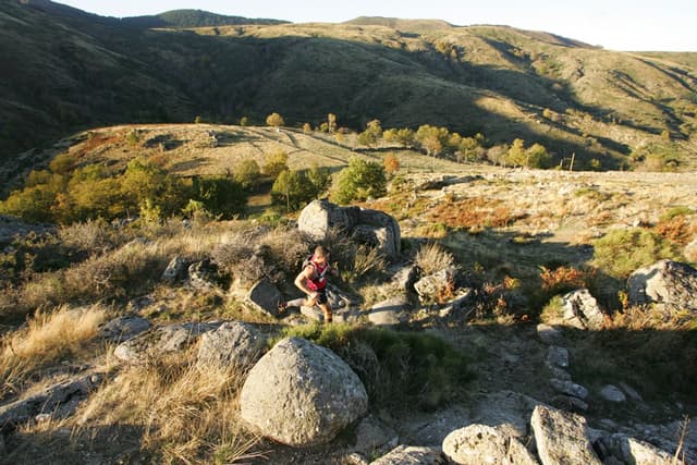 Festival des Templiers 2008