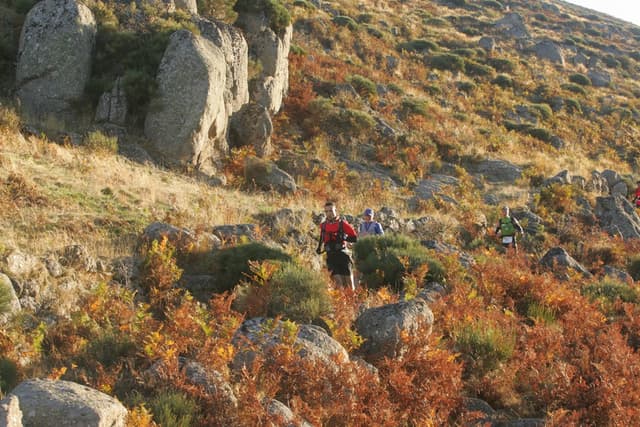 Festival des Templiers 2008