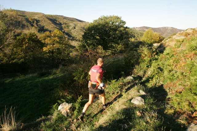 Festival des Templiers 2008