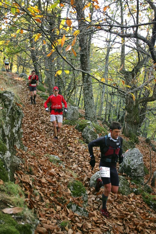Festival des Templiers 2008
