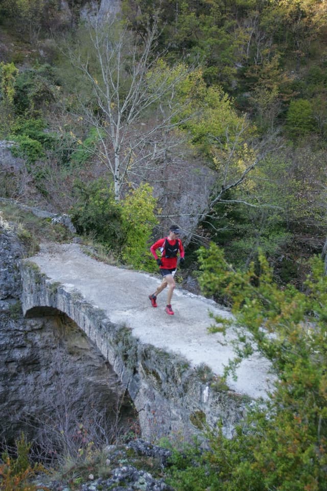 Festival des Templiers 2008