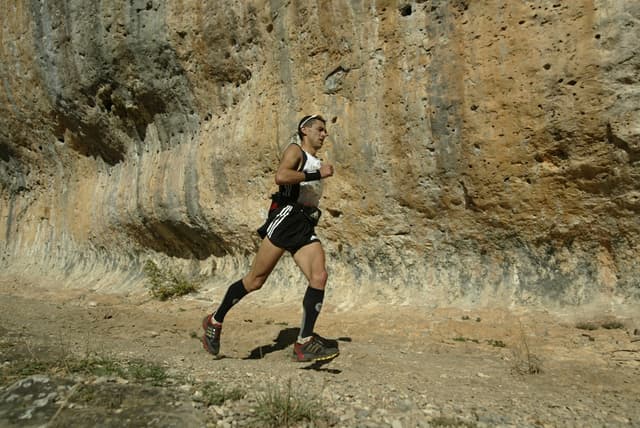 Festival des Templiers 2008