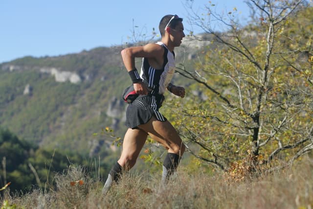 Festival des Templiers 2008