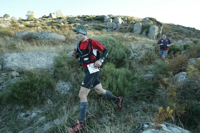 Festival des Templiers 2008