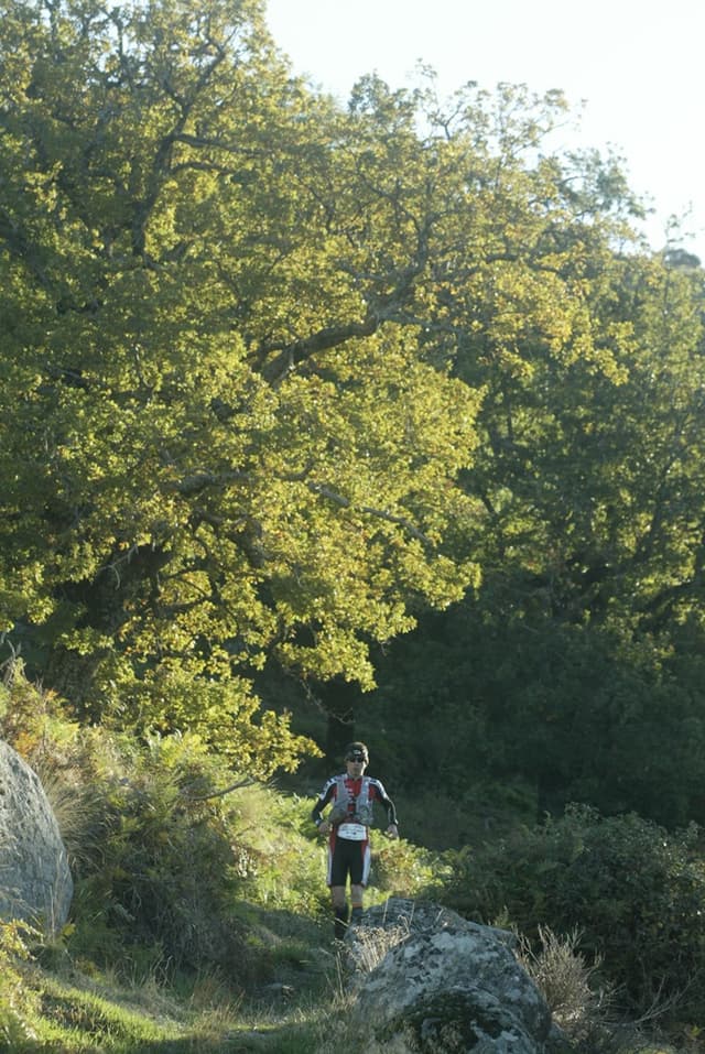 Festival des Templiers 2008