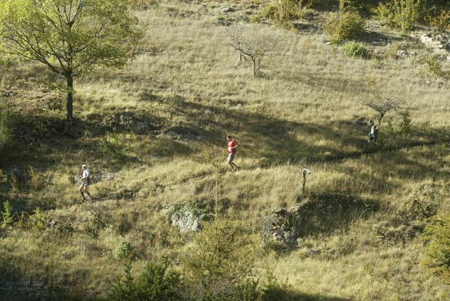 Festival des Templiers 2008