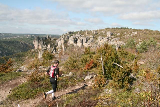 Festival des Templiers 2010