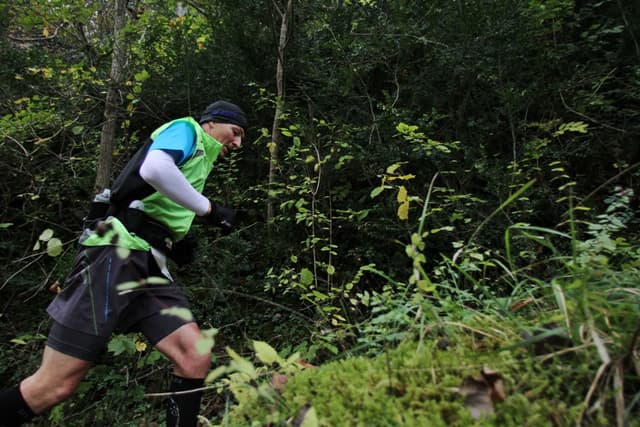 Festival des Templiers 2012