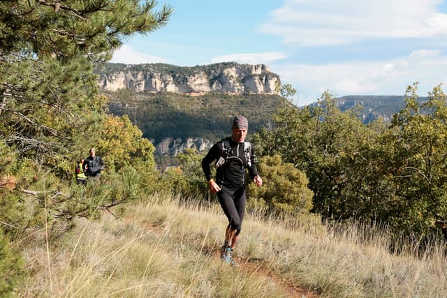 Festival des Templiers 2012