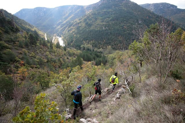 Festival des Templiers 2012