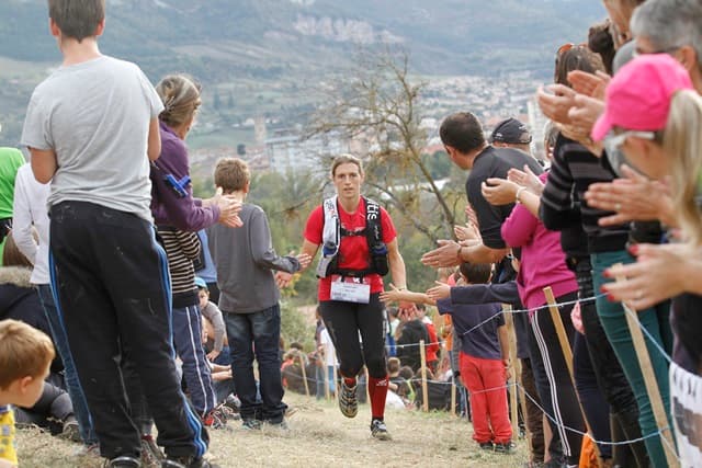 Festival des Templiers 2013