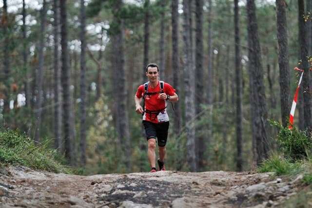 Festival des Templiers 2013