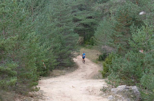 Festival des Templiers 2013