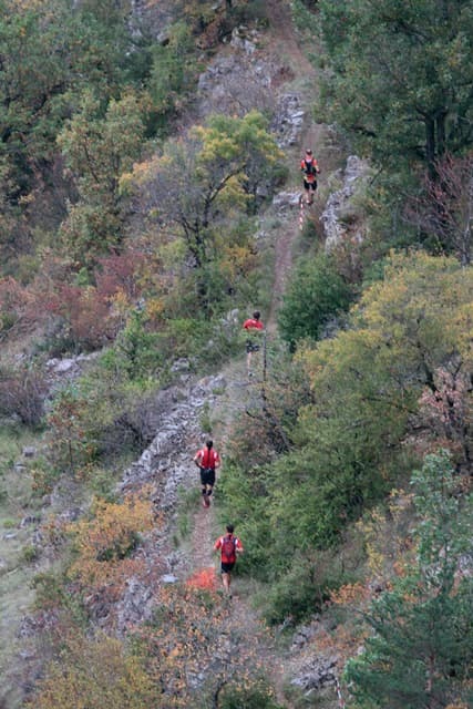 Festival des Templiers 2013