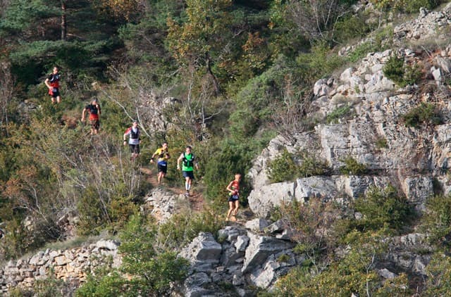 Festival des Templiers 2013