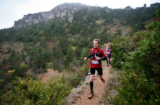 Festival des Templiers 2013