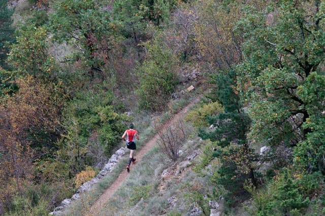 Festival des Templiers 2013