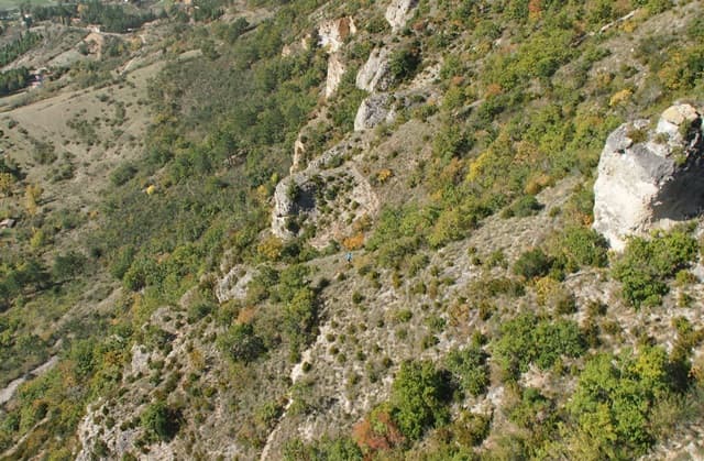 Festival des Templiers 2013